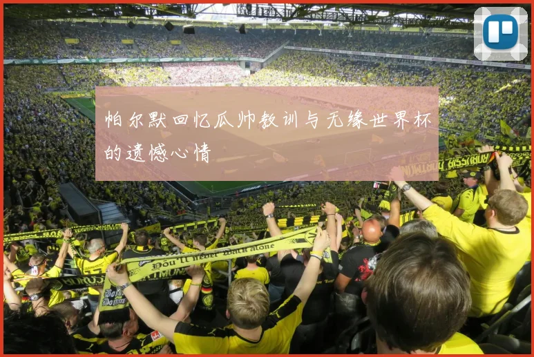 帕尔默回忆瓜帅教训与无缘世界杯的遗憾心情
